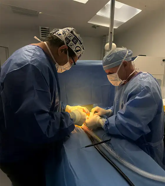 Male Enhancement Clinic Procedure Male Enhancement Clinic Procedure