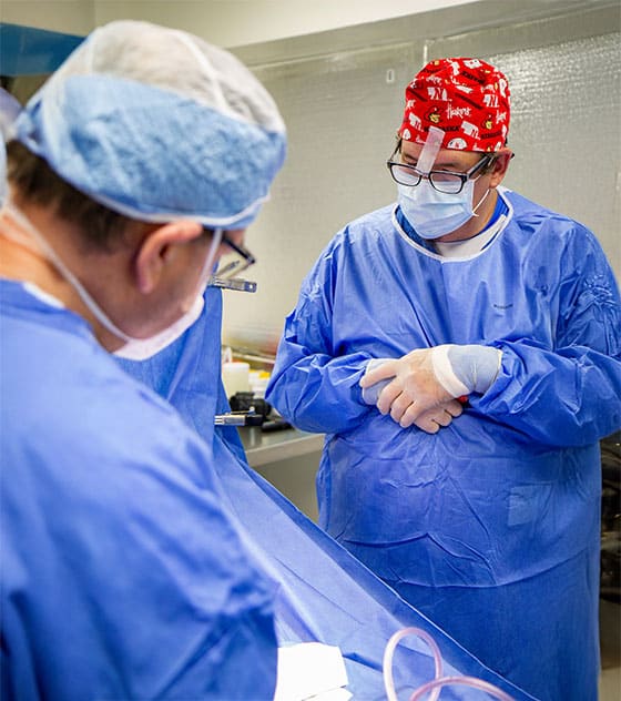 Male Enhancement Surgeons Male Enhancement Surgeons Performing Procedure Tampa